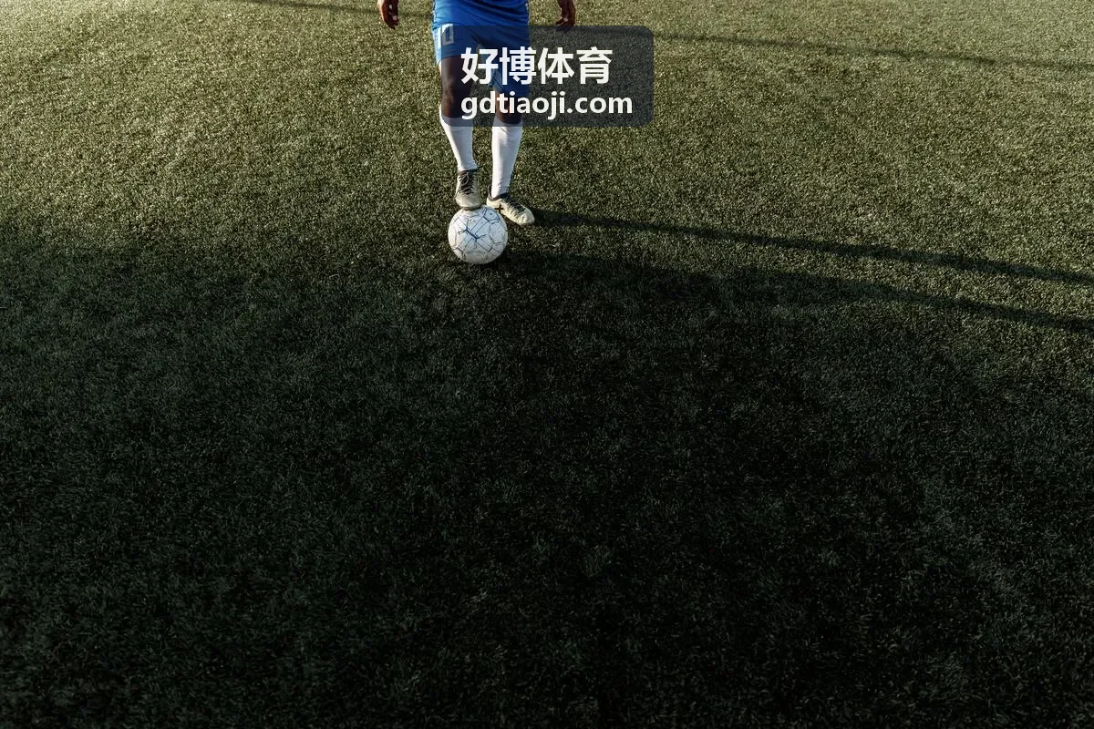好博体育青训数据